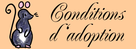 Conditions d'Adoption